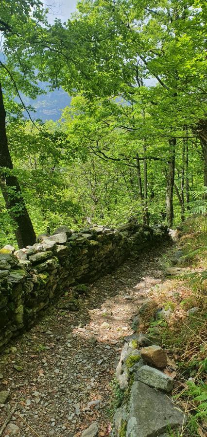 Rustico Pult Villa Someo Buitenkant foto